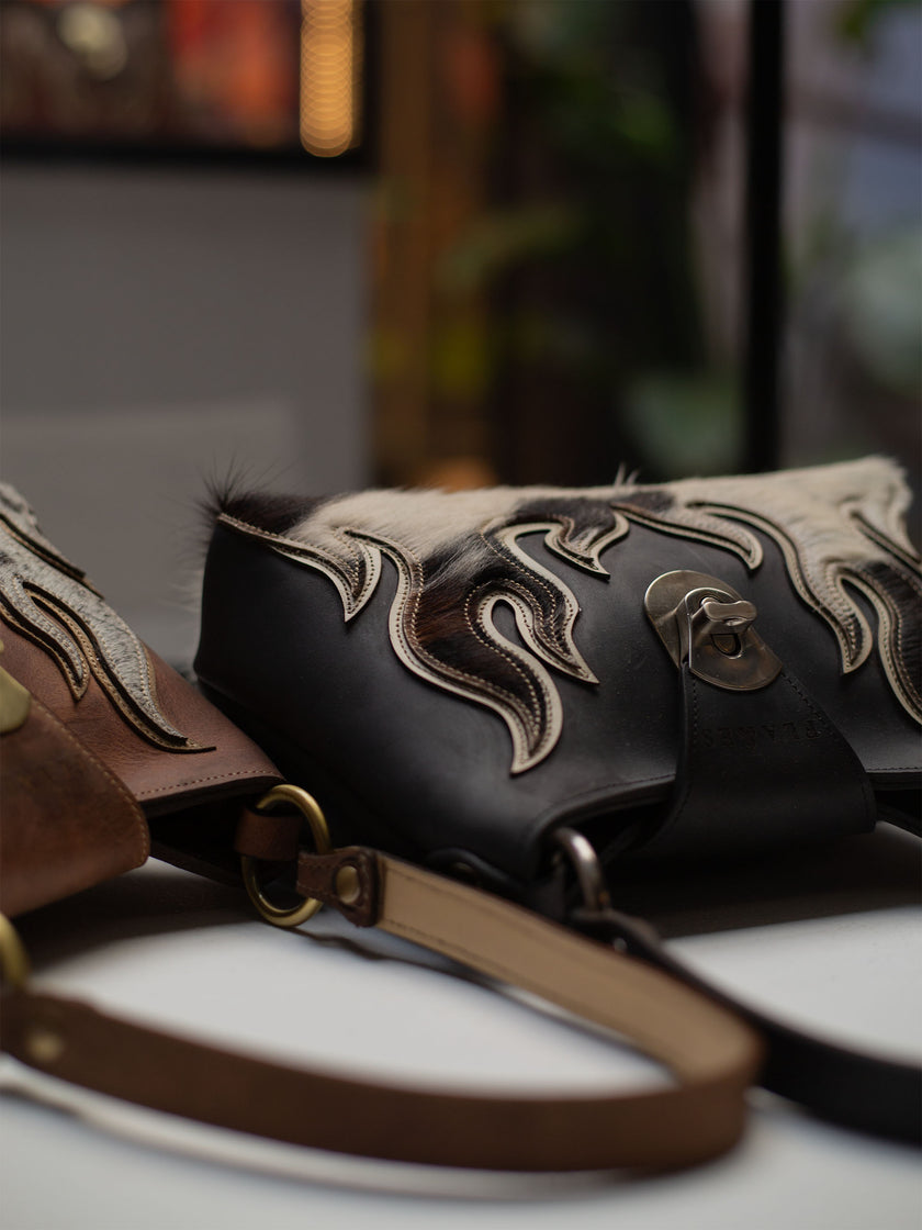 The Black and White cow